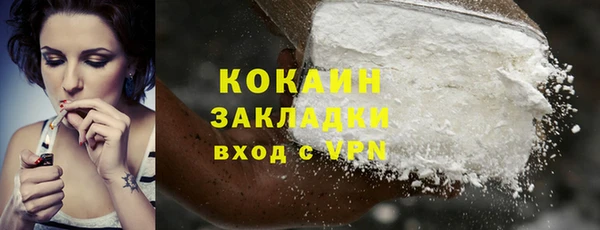 PSILOCYBIN Аркадак