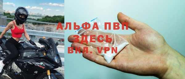 PSILOCYBIN Аркадак