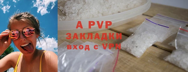 PSILOCYBIN Аркадак
