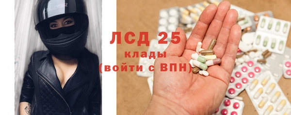 PSILOCYBIN Аркадак