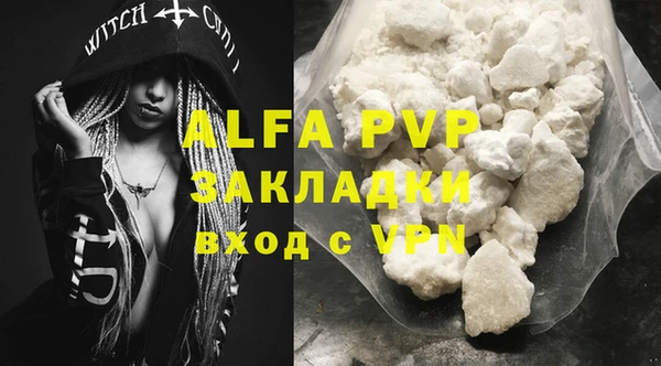 PSILOCYBIN Аркадак
