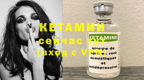 крисы Баксан