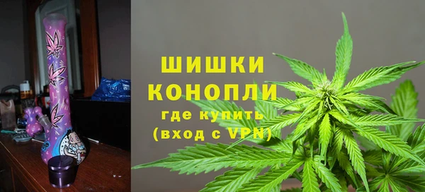 PSILOCYBIN Аркадак