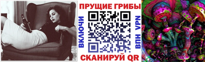 Галлюциногенные грибы Psilocybine cubensis  omg как зайти  Коломна 