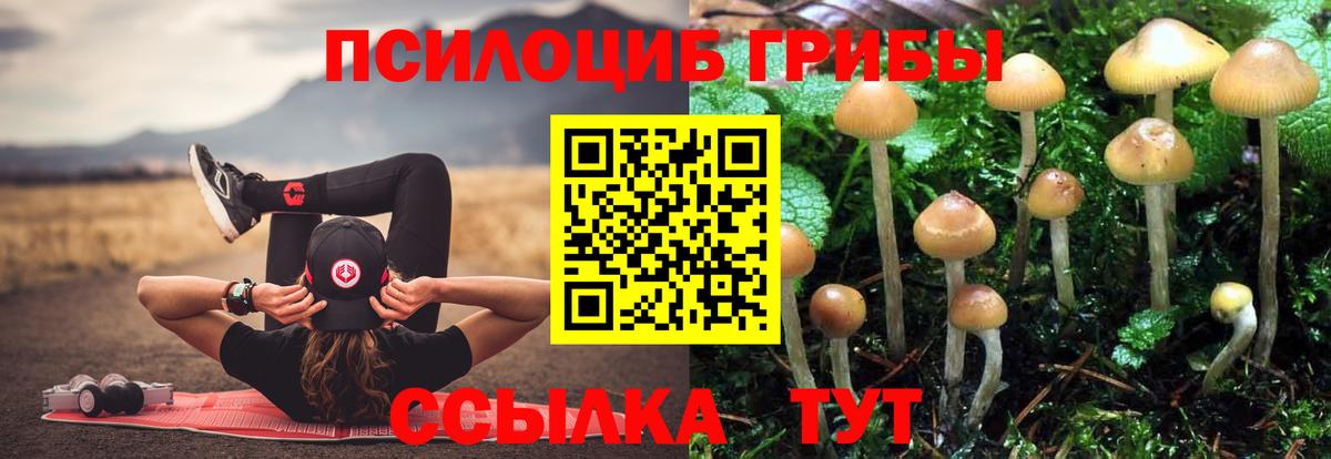 Галлюциногенные грибы MAGIC MUSHROOMS  Вход с VPN  Коломна 